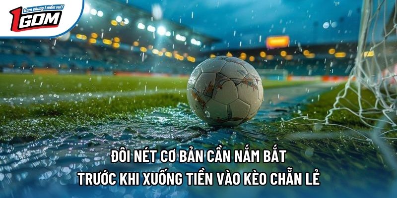 Đôi nét cơ bản cần nắm bắt trước khi xuống tiền vào kèo chẵn lẻ Đôi nét cơ bản cần nắm bắt trước khi xuống tiền vào kèo chẵn lẻ