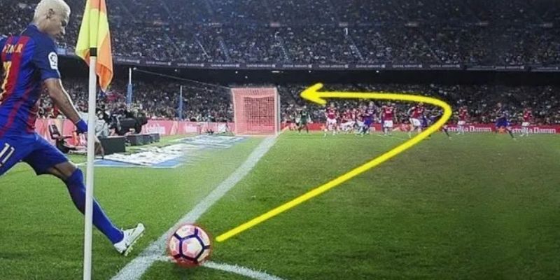 Những yếu tố phân tích quan trọng