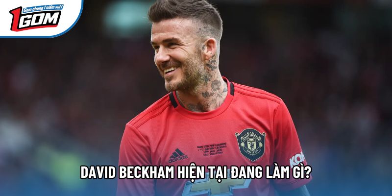 David Beckham hiện tại đang làm gì? David Beckham hiện tại đang làm gì?