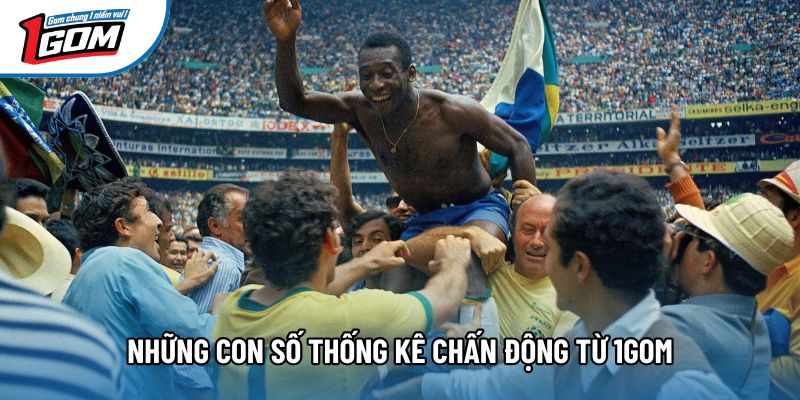 Những con số thống kê chấn động từ 1gom Những con số thống kê chấn động từ 1gom