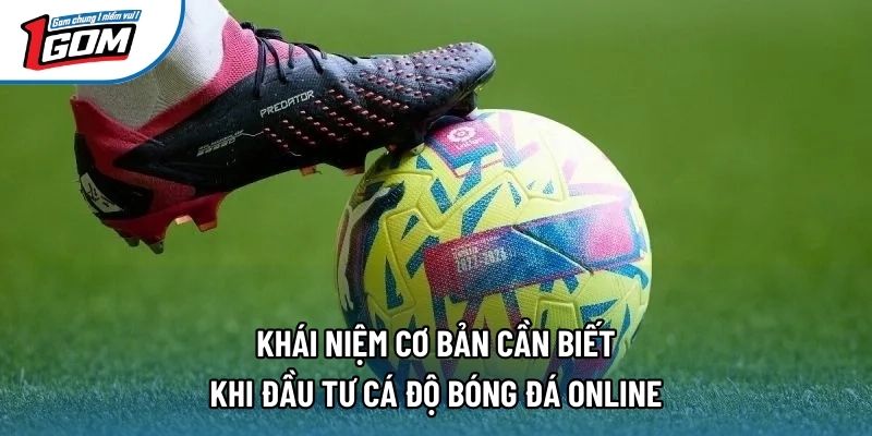 Khái niệm cơ bản cần biết khi đầu tư cá độ bóng đá online