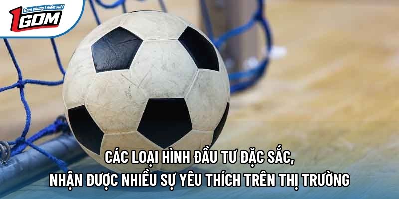 Các loại hình đầu tư đặc sắc, nhận được nhiều sự yêu thích trên thị trường