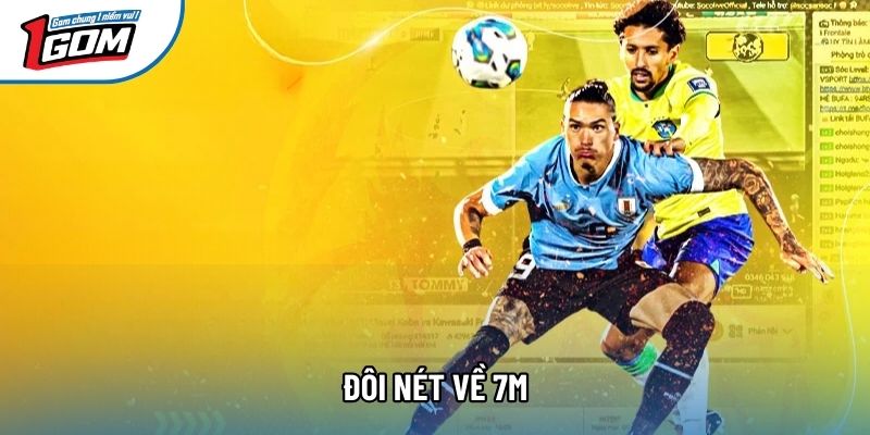 Đôi nét về 7M Đôi nét về 7M