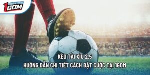 Kèo Tài Xỉu 2.5 - Hướng Dẫn Chi Tiết Cách Đặt Cược Tại 1gom