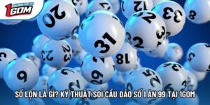 Số Lộn Là Gì? Kỹ Thuật Soi Cầu Đảo Số 1 Ăn 99 Tại 1gom